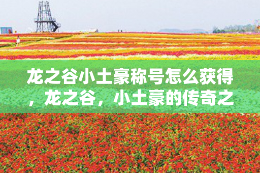 龙之谷小土豪称号怎么获得图片