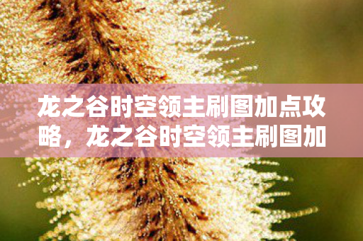 龙之谷时空领主刷图加点攻略，龙之谷时空领主刷图加点攻略，打造高效战斗体验，龙之谷时空领主高效刷图加点攻略