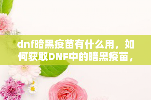 dnf暗黑疫苗有什么用，如何获取DNF中的暗黑疫苗，全面指南，DNF暗黑疫苗全面指南，作用与获取方式