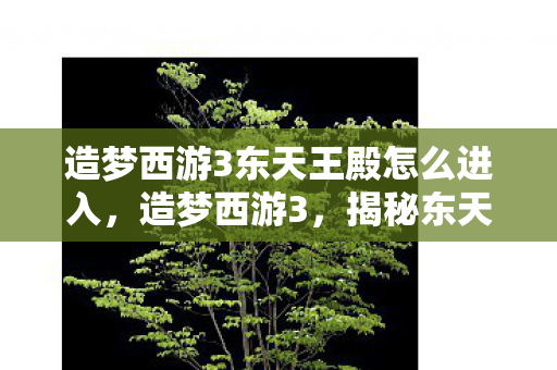 造梦西游3东天王殿怎么进入，造梦西游3，揭秘东天王殿的进入之道，揭秘造梦西游3东天王殿的进入方法