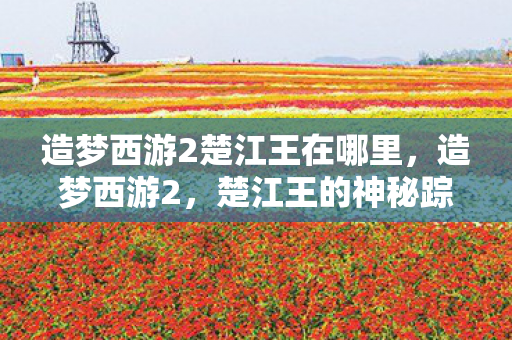 造梦西游2楚江王在哪里，造梦西游2，楚江王的神秘踪迹探索，造梦西游2楚江王神秘踪迹探索，揭秘楚江王的所在之地