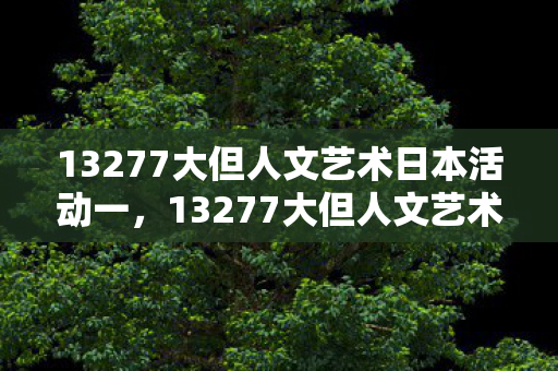 13277大但人文艺术日本活动一，13277大但人文艺术，日本活动中的独特魅力，13277大但人文艺术，日本活动中的独特魅力
