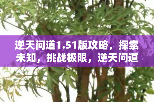 挑战极限的攻略指南图片