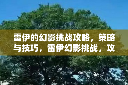 雷伊的幻影挑战攻略，策略与技巧，雷伊幻影挑战，攻略、策略与技巧全解析