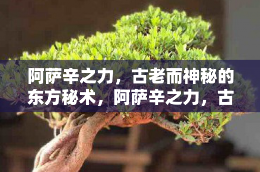 阿萨辛之力，古老而神秘的东方秘术，阿萨辛之力，古老东方秘术揭秘