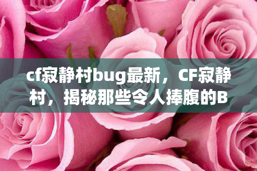 cf寂静村bug最新，CF寂静村，揭秘那些令人捧腹的BUG之旅，揭秘CF寂静村，那些令人捧腹的BUG之旅