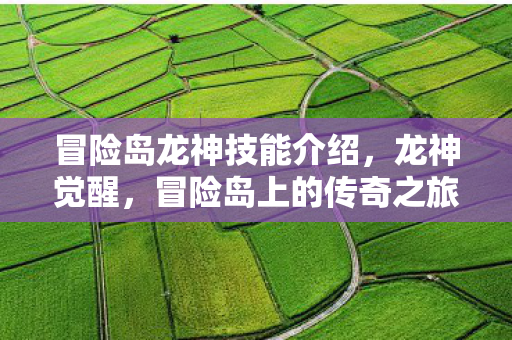 冒险岛龙神技能介绍，龙神觉醒，冒险岛上的传奇之旅，冒险岛龙神觉醒，传奇之旅中的神技揭秘