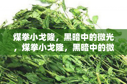 煤拳小戈隆，黑暗中的微光，煤拳小戈隆，黑暗中的微光