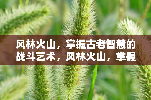 掌握古老战斗智慧的战斗艺术图片