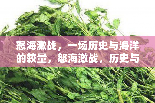 怒海激战，一场历史与海洋的较量，怒海激战，历史与海洋的较量