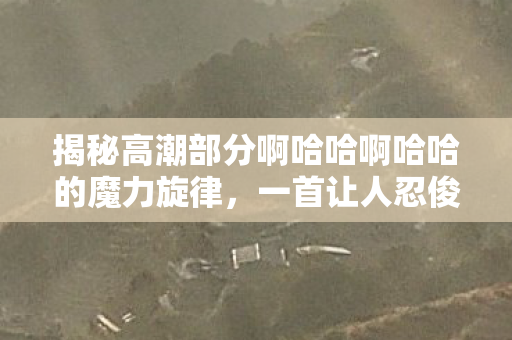 揭秘高潮部分啊哈哈啊哈哈的魔力旋律，一首让人忍俊不禁的欢乐之歌，揭秘高潮部分，让人忍俊不禁的欢乐旋律