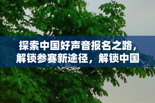 探索中国好声音报名之路，解锁参赛新途径，解锁中国好声音报名新途径