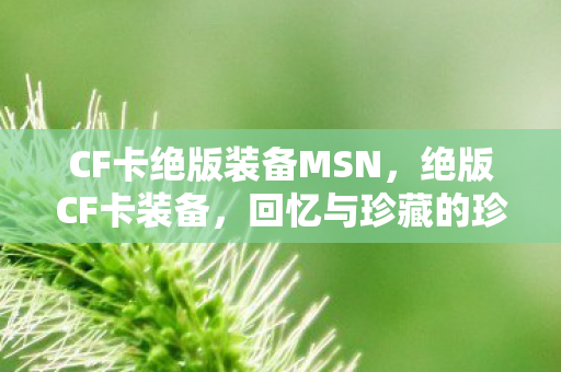 CF卡绝版装备MSN，绝版CF卡装备，回忆与珍藏的珍贵篇章，CF卡绝版装备，回忆与珍藏的珍贵篇章