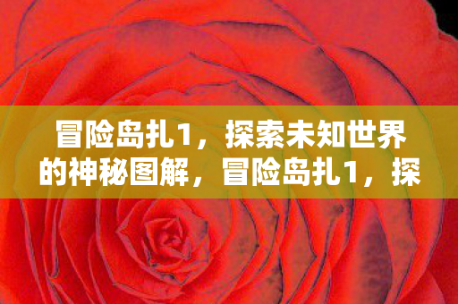 冒险岛扎1，探索未知世界的神秘图解，冒险岛扎1，探索未知世界的神秘图解
