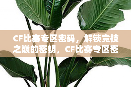 CF比赛专区密码，解锁竞技之巅的密钥，CF比赛专区密码，解锁竞技之巅的密钥