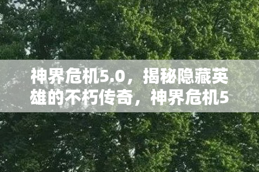 揭秘隐藏英雄的不朽传奇图片