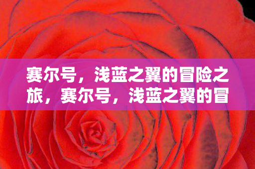 浅蓝之翼的冒险之旅启程图片