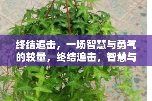 一场智慧与勇气的较量图片