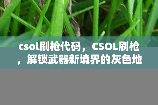 解锁武器新境界的灰色地带图片