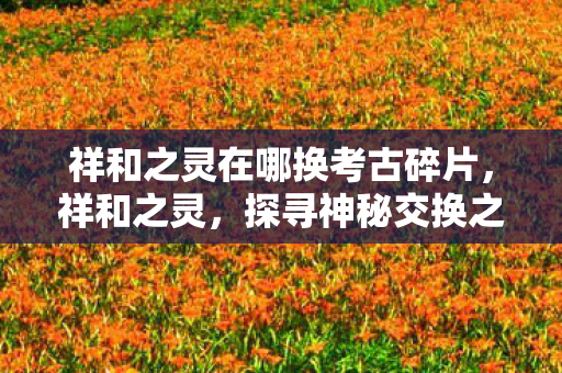 祥和之灵在哪换考古碎片，祥和之灵，探寻神秘交换之地，探寻祥和之灵，神秘考古碎片交换地揭秘