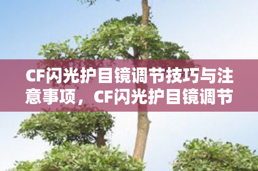 CF闪光护目镜调节技巧与注意事项，CF闪光护目镜调节技巧与注意事项全解析