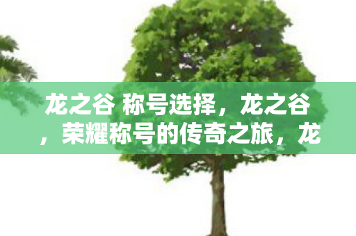龙之谷 称号选择，龙之谷，荣耀称号的传奇之旅，龙之谷，荣耀称号的传奇之旅