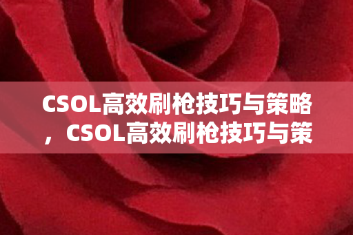 CSOL高效刷枪技巧与策略，CSOL高效刷枪技巧与策略全解析