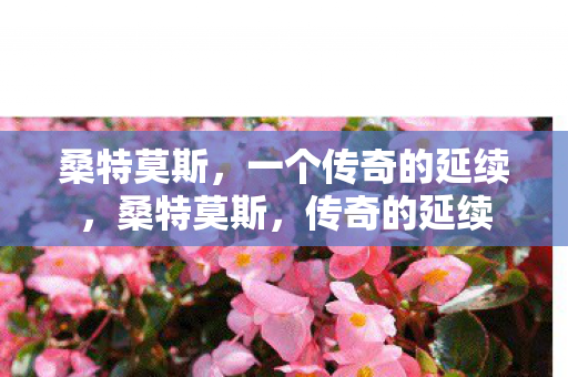 桑特莫斯，一个传奇的延续，桑特莫斯，传奇的延续