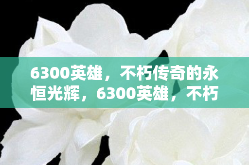 6300英雄，不朽传奇的永恒光辉，6300英雄，不朽传奇的永恒光辉