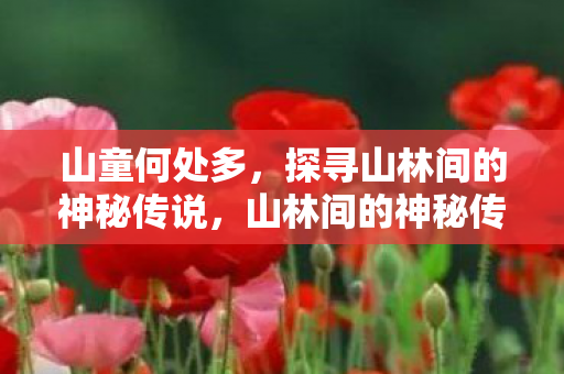 山童何处多，探寻山林间的神秘传说，山林间的神秘传说，探寻山童的踪迹