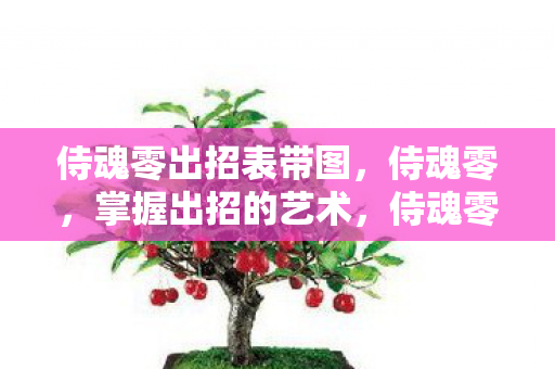 侍魂零出招表带图，侍魂零，掌握出招的艺术，侍魂零，掌握出招的艺术，出招表带图来袭