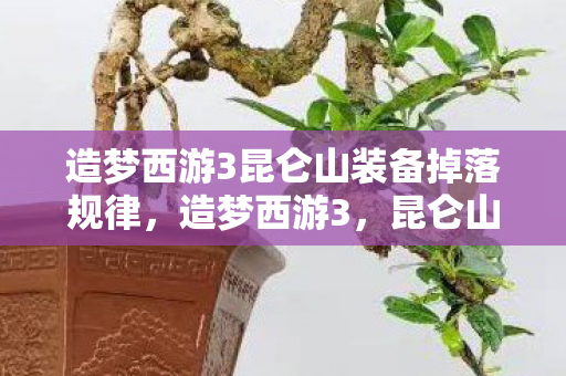造梦西游3昆仑山装备掉落规律，造梦西游3，昆仑山秘境的奇幻之旅，揭秘造梦西游3昆仑山秘境装备掉落规律，奇幻之旅等你来挑战！