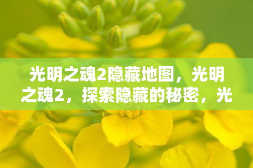光明之魂2隐藏地图，光明之魂2，探索隐藏的秘密，光明之魂2隐藏地图揭秘，探索未知的秘密