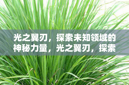 光之翼刃，探索未知领域的神秘力量，光之翼刃，探索未知领域的神秘力量