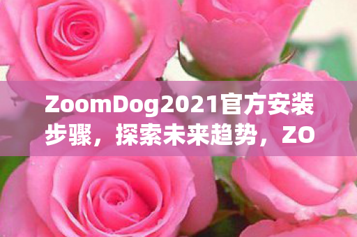 ZoomDog2021官方安装步骤，探索未来趋势，ZOOMDOG2021与数字时代的创新实践，ZoomDog2021，探索未来趋势，官方安装步骤与数字时代创新实践