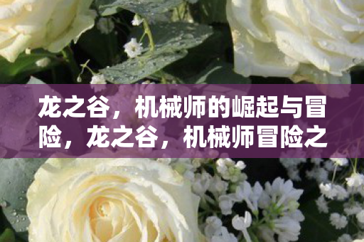 龙之谷，机械师的崛起与冒险，龙之谷，机械师冒险之旅开启