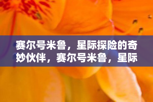 赛尔号米鲁，星际探险的奇妙伙伴，赛尔号米鲁，星际探险的奇妙伙伴