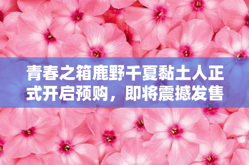 青春之箱鹿野千夏黏土人正式开启预购，即将震撼发售！