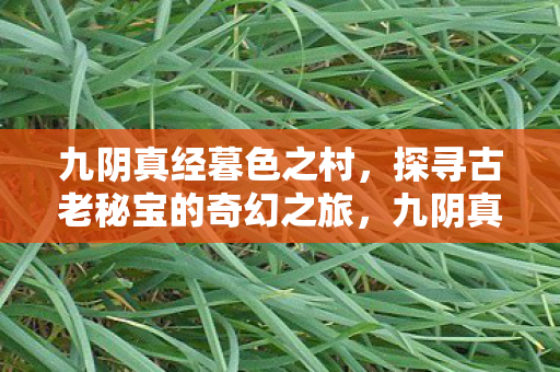 九阴真经暮色之村，探寻古老秘宝的奇幻之旅，九阴真经暮色之村，探寻古老秘宝的奇幻冒险之旅