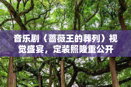 音乐剧〈蔷薇王的葬列〉视觉盛宴，定装照隆重公开