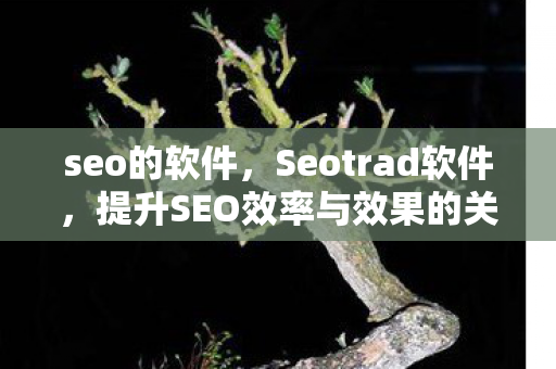 seo的软件，Seotrad软件，提升SEO效率与效果的关键工具，Seotrad软件，提升SEO效率与效果的关键工具