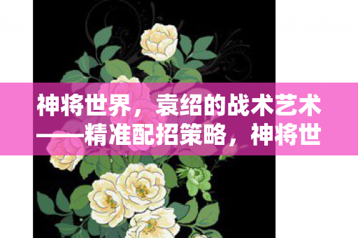 神将世界，袁绍的战术艺术——精准配招策略，神将世界，袁绍精准配招策略解析