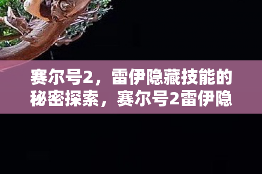 赛尔号2，雷伊隐藏技能的秘密探索，赛尔号2雷伊隐藏技能揭秘，探索其神秘力量！