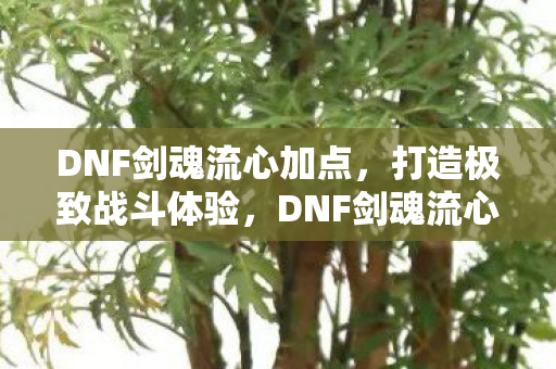DNF剑魂流心加点，打造极致战斗体验，DNF剑魂流心加点攻略，打造极致战斗体验