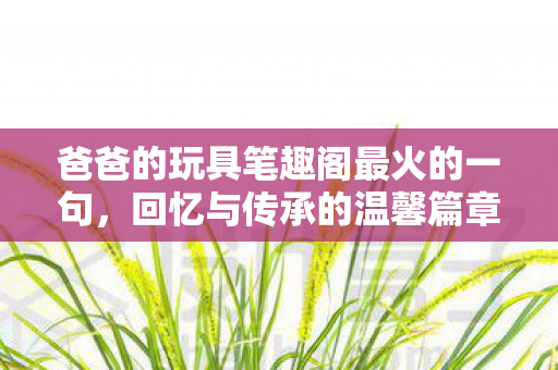 爸爸的玩具笔趣阁最火的一句，回忆与传承的温馨篇章，回忆与传承的温馨篇章，爸爸的玩具笔趣阁最火的一句