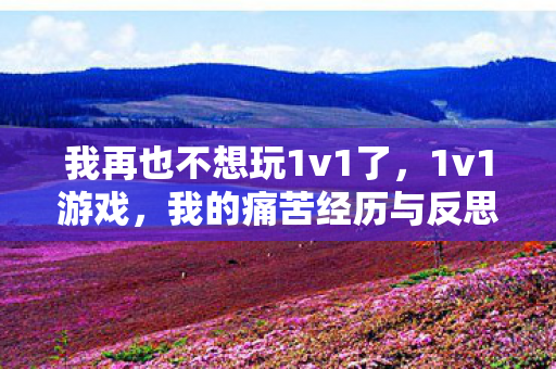 我再也不想玩1v1了，1v1游戏，我的痛苦经历与反思