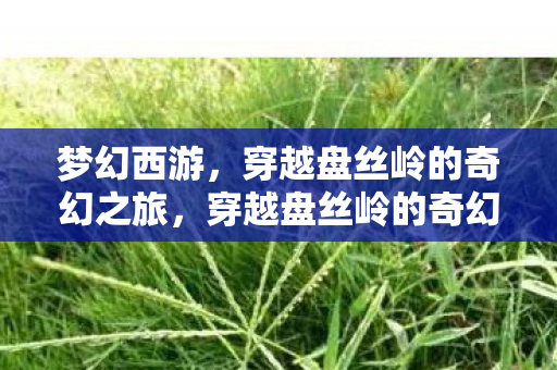 梦幻西游，穿越盘丝岭的奇幻之旅，穿越盘丝岭的奇幻之旅，梦幻西游之旅