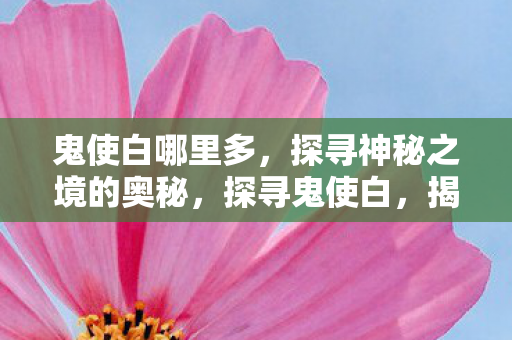 鬼使白哪里多，探寻神秘之境的奥秘，探寻鬼使白，揭秘神秘之境的奥秘