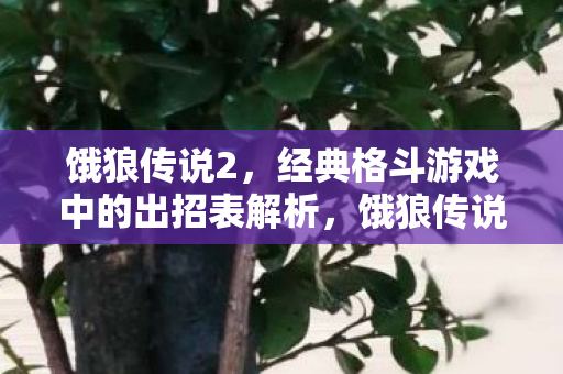 饿狼传说2，经典格斗游戏中的出招表解析，饿狼传说2出招表全解析，重温经典格斗游戏技能