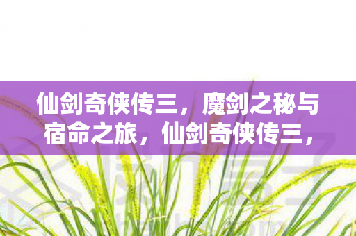 仙剑奇侠传三，魔剑之秘与宿命之旅，仙剑奇侠传三，魔剑之秘与宿命之旅的奇幻冒险